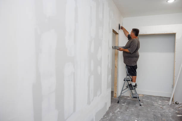 Best Ceiling Drywall Installation  in Sea Breeze, NC